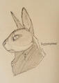 nettlewood bust (traditional, sketch; outdated)