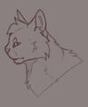 bust sketch