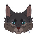 blueberry headshot