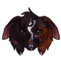 byrdpaw headshot (shaded)
