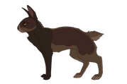 nettlewood fullbody
