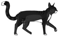 pantherstripe fullbody